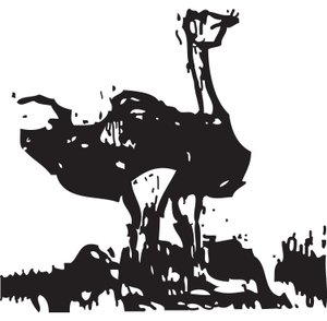 Ostrich by Gerhardt Isringhaus