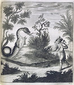 A Fearful Dragon by German School
