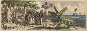 A Pacific Island