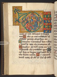 Add. 60629, f.43v Large framed initials in gold and colours with foliate and sometimes zoomorphic and anthropomorphic ornament