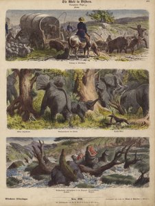 Africa by German School