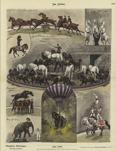 At the Circus
