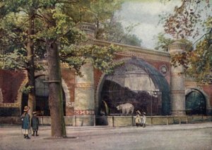 Bear Enclosure, Berlin Zoological Garden, Germany by German School