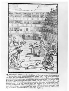 Bull and bear Baiting by German School
