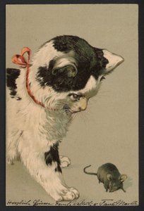 Cat Playing with a Mouse by German School