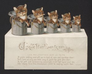 Cats in buckets, New Year