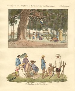 Cochin Chinese uses and dresses