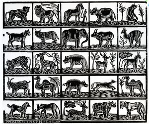 Collection of Animals by German School