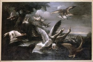 Eagle, Wild Geese and Dogs