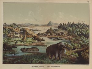 European animals of the Tertiary Period by German School