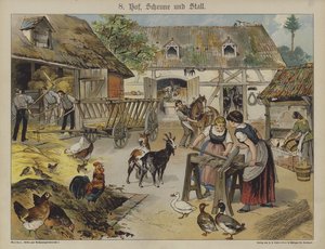Farm