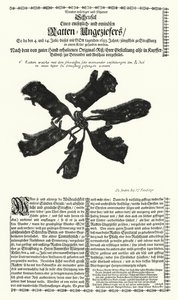 Giant Rats Caught in Strasbourg in 1683 by German School