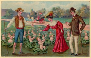 Growing babies from cabbages by German School