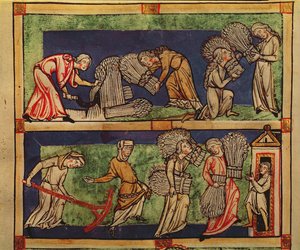 Harvesting, Rhine School