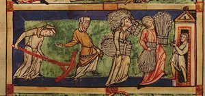 Harvesting, Rhine School