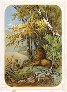 Hunter approaching lion