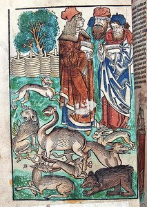 Illustration from Hortus Sanitatis by German School