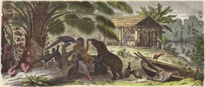 Indian house on the Orinoco River