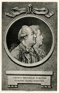 Johann Georg Forster by German School