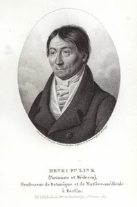 Johann Heinrich Friedrich Link