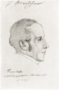 Josef Fraunhofer by German School