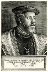 Charles V by German School