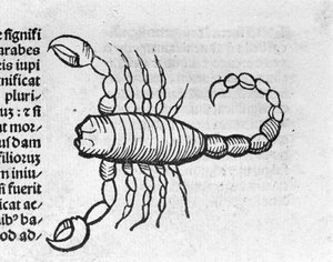 Le Scorpio - in Treatise by Johannes Angeli De Magnisconnectionibue annorum revolutionibus ac eorum pefectionibus. Augsburg, Erhard Ratdolt by German School