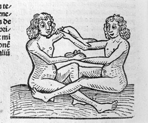 The Gemini - in Treatise by Johannes Angeli De Magnisconnectionibue Annorum Revolutionibus ac Eorum Perfectionibus. Augsburg, Erhard Ratdolt