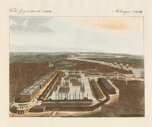 London Docks