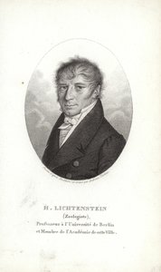 Martin Lichtenstein by German School