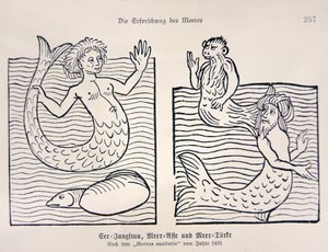 Mermaid and Merman from Jacob Meydenbach