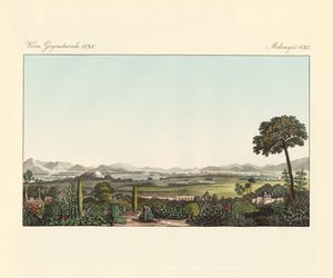 Mexico by German School
