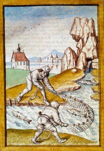 Miniature Net Fishing from a German Translation of the Fables of Kalila and Dimna by German School