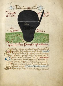 Ms Sloane 2560, f.8 from the Alchemical Treatises, late 15th century