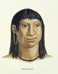 Native Man of the Aroaqui Tribe, from Atlas of a Journey in Brazil by Johann Baptist von Spix and Karl Friedrich Philipp Martius, published c.1835-50