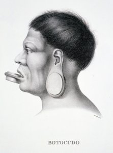 Native man of the Botocudo tribe, with plug face decoration, from Atlas of a Journey in Brazil by Dr von Spix and Dr von Martius