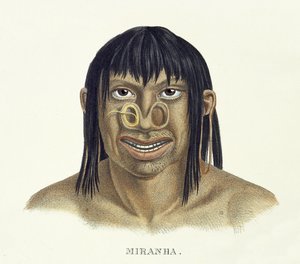 Native Man of the Miranha Tribe, with Nose Decoration, from Atlas of a Journey in Brazil by Johann Baptist von Spix and Karl Friedrich Philipp Martius, published c.1835-50