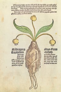 Page from a Printed Book