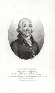 Peter Simon Pallas