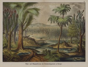 Plants and animals of the Carboniferous Period in Europe