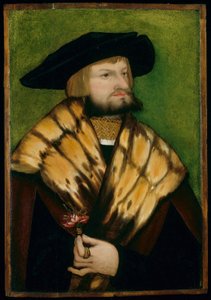 Portrait of Leonhard Fuchs by German School