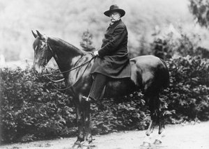 Prince Bismarck in Friedrichsruh, 1890