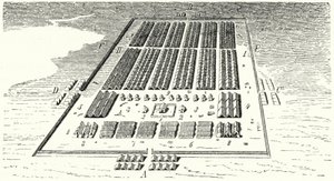 Roman army camp