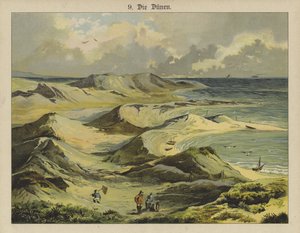 Sand dunes