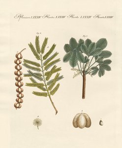 Strange Commercial Plants