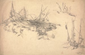 Study of a Thistle by German School