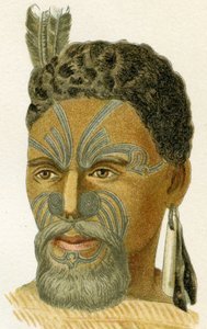 Tattooed Face of a Maori Chief, 1894 by German School