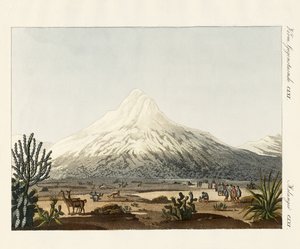 The Chimborazo in South America