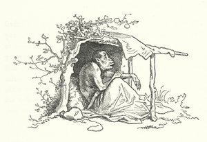 The Two Apes by German School