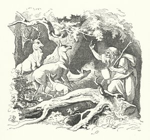 The Witch and the King